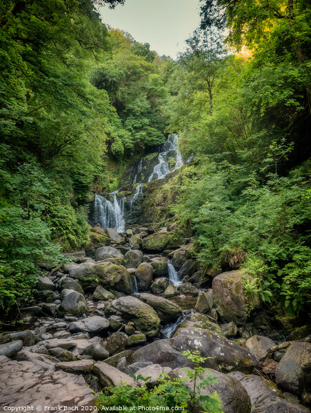 Torc waterfall near Killarney at Ring of Kerry Picture Board by Frank Bach