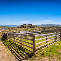 Buy canvas prints of Sheep fence on Valentia island, Ireland by Frank Bach