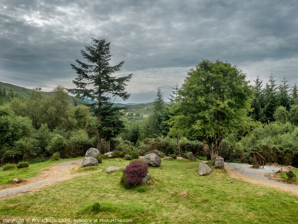 Dromagorteen stone circle in Bonane Heritage center, Ireland Picture Board by Frank Bach