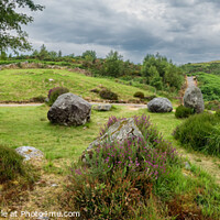 Buy canvas prints of Dromagorteen stone circle in Bonane Heritage center, Ireland by Frank Bach
