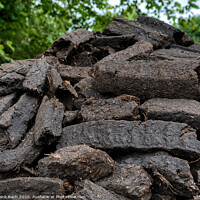 Buy canvas prints of Peat bog turf in a rural countryside, Ireland by Frank Bach