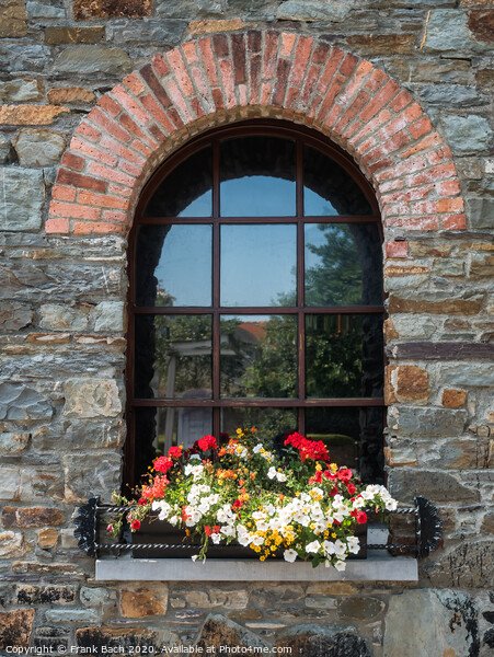 Old rustic window with flowers Picture Board by Frank Bach