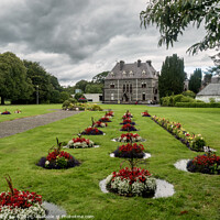 Buy canvas prints of Countrylife museum in Castlebar county Mayo, Ireland by Frank Bach