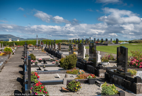 Graveyard in Killadoon county Mayo, Ireland Picture Board by Frank Bach