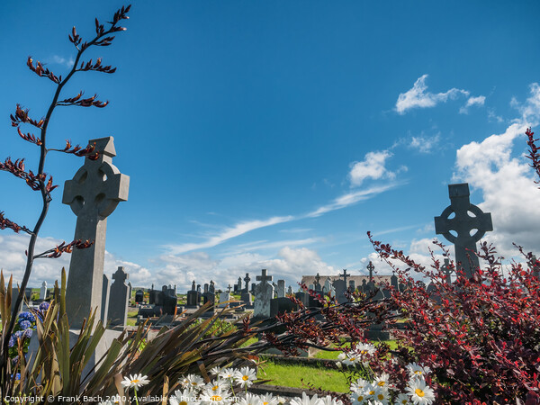 Graveyard in Killadoon county Mayo, Ireland Picture Board by Frank Bach
