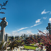 Buy canvas prints of Graveyard in Killadoon county Mayo, Ireland by Frank Bach