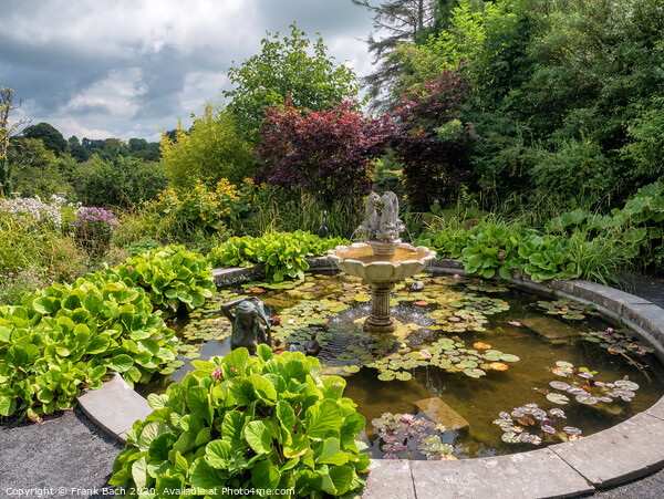 Belvedere house pond and fountain, Ireland Picture Board by Frank Bach