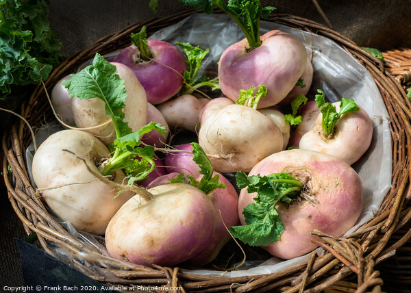 Fresh turnips in a basket Picture Board by Frank Bach