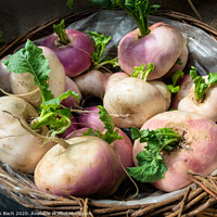 Buy canvas prints of Fresh turnips in a basket by Frank Bach