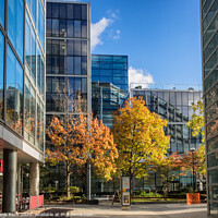 Buy canvas prints of Old meets new in London city by Frank Bach