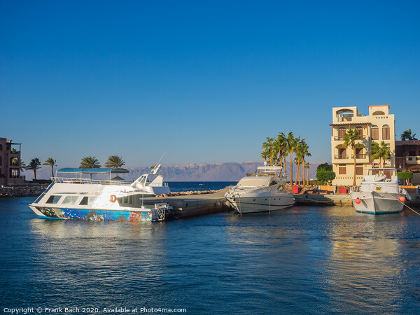 Tourist resort in Aqaba Jordan where the ferries from Egypt land Picture Board by Frank Bach