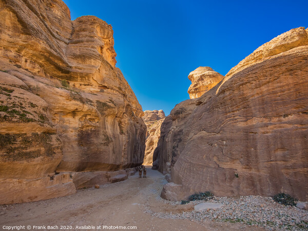 Entrance to Petra through the gorge Siqh Picture Board by Frank Bach