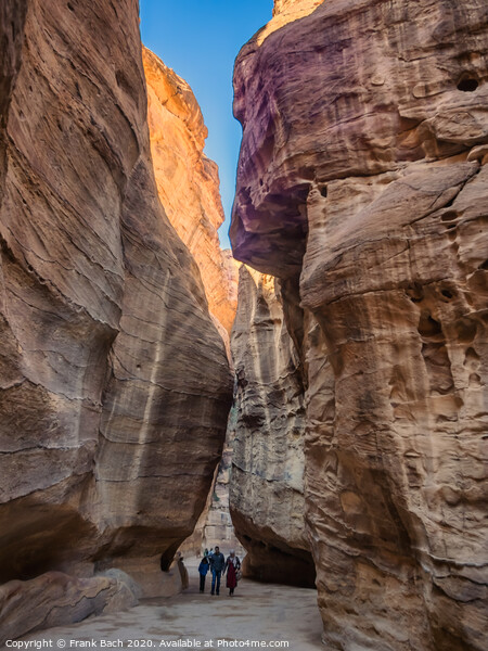 ntrance to Petra through the gorge Siqh Picture Board by Frank Bach