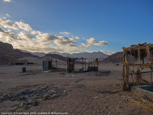Deserted beduin homes in the Sinai desert Picture Board by Frank Bach