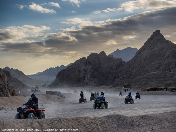 Buggy cars in the Sinai desert  Picture Board by Frank Bach