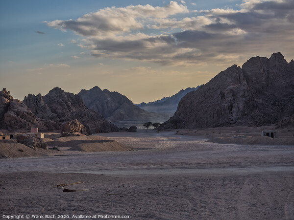 Sinai desert close to sunset Picture Board by Frank Bach