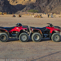 Buy canvas prints of Buggy cars in the Sinai desert  by Frank Bach