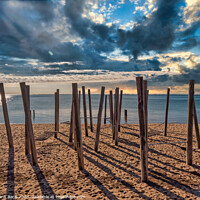 Buy canvas prints of Poles on Hjerting public beach promenade in Esbjerg, Denmark by Frank Bach