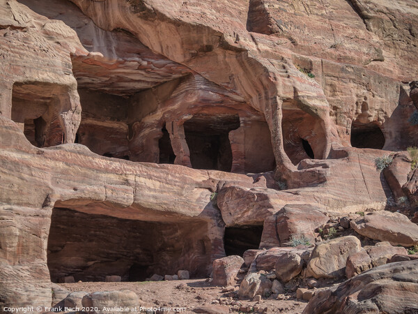 Dwellings homes in Petra lost city  Picture Board by Frank Bach