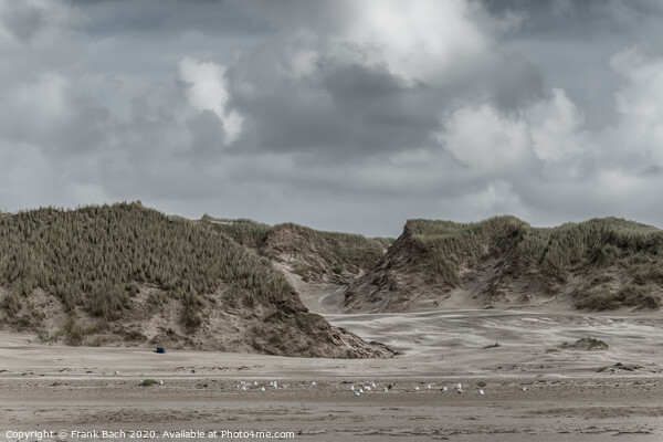 Blaavand beach dunes at the North sea coast on a windy day, Denmark Picture Board by Frank Bach