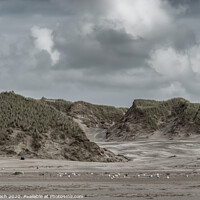 Buy canvas prints of Blaavand beach dunes at the North sea coast on a windy day, Denmark by Frank Bach