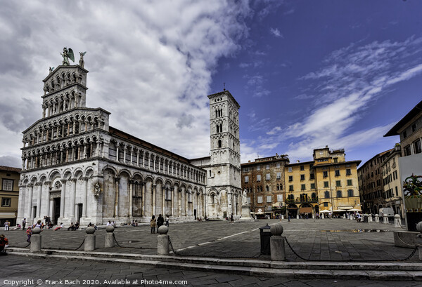 Lucca, Italy, the Cathedral of Saint Michele Picture Board by Frank Bach