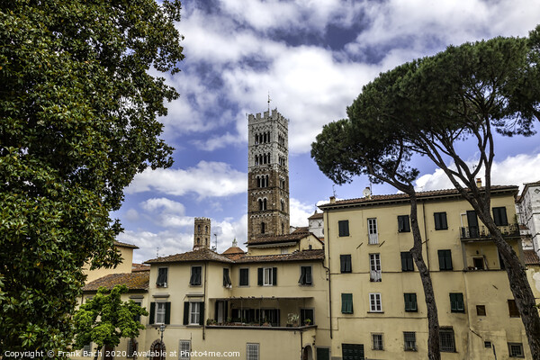 Lucca, Tuscany - View over Old Town (Italy) Picture Board by Frank Bach