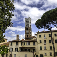 Buy canvas prints of Lucca, Tuscany - View over Old Town (Italy) by Frank Bach