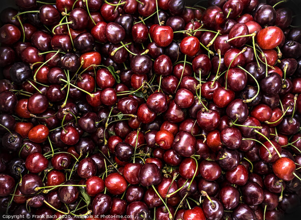 Fresh cherries Picture Board by Frank Bach
