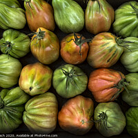 Buy canvas prints of Colorful Juicy Ripe Heirloom Tomatoes by Frank Bach