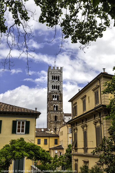 Dome of Lucca / Duomo di Lucca, Tuscany, Italy Picture Board by Frank Bach