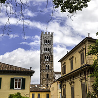 Buy canvas prints of Dome of Lucca / Duomo di Lucca, Tuscany, Italy by Frank Bach