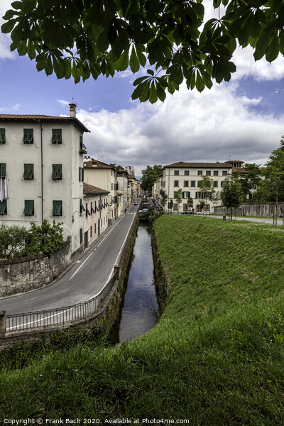 Lucca, Tuscany, Italy. Streets and canals Picture Board by Frank Bach