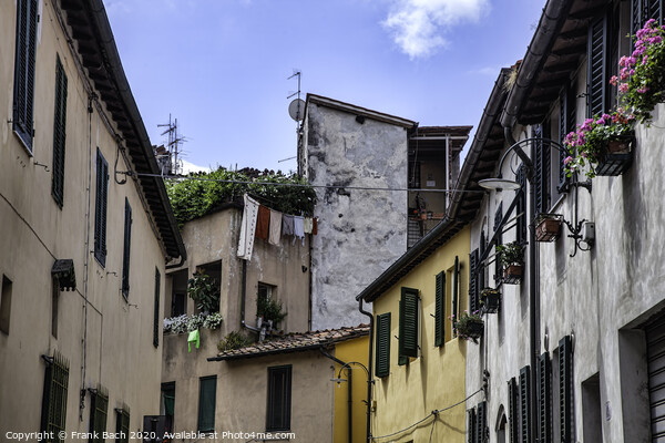 Lucca, Tuscany, Italy. Streets Picture Board by Frank Bach