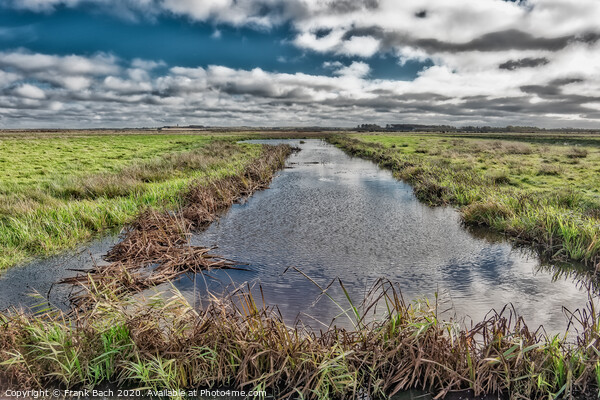 Wetlands meadows near Skjern in Denmark Picture Board by Frank Bach