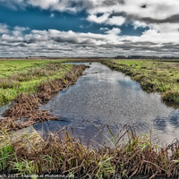 Buy canvas prints of Wetlands meadows near Skjern in Denmark by Frank Bach