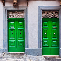 Buy canvas prints of Twin greendoors by Frank Bach