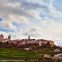 Buy canvas prints of City of Mdina, Malta by Frank Bach