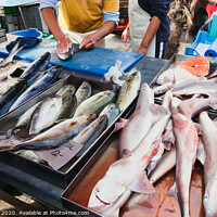 Buy canvas prints of Raw fish on a market in Malta by Frank Bach
