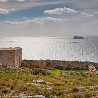 Buy canvas prints of Maltese Island of Filfla by Frank Bach