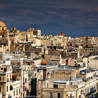 Buy canvas prints of Panorama of Valletta, Malta by Frank Bach