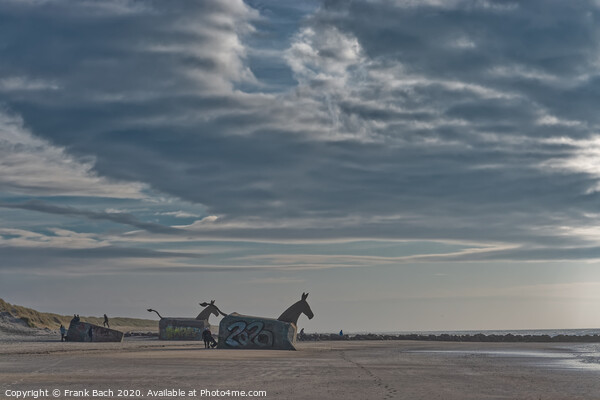 Bunker Mules horses on Blaavand Beach, North Sea coast, Denmark Picture Board by Frank Bach