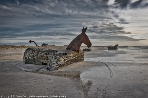 Bunker Mules horses on Blaavand Beach, North Sea coast, Denmark Picture Board by Frank Bach