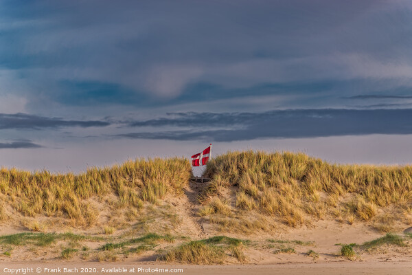 Danish flag waving behind dunes on Blaavand Beach, Denmark Picture Board by Frank Bach