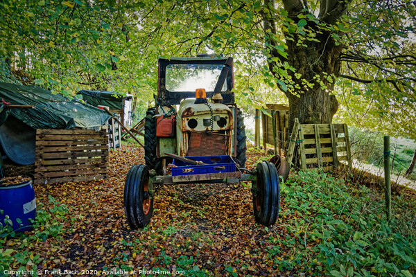 Worn out tractor placed in an autumn forest, Denmark Picture Board by Frank Bach