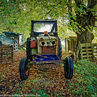 Buy canvas prints of Worn out tractor placed in an autumn forest, Denmark by Frank Bach