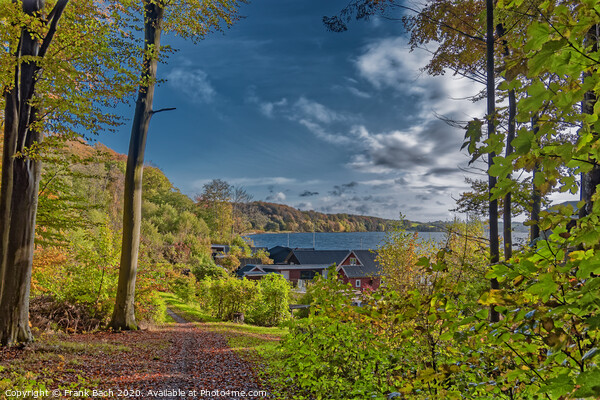Vejle Fjord resting areas in autumn at Ulbaekhus, Denmark Picture Board by Frank Bach