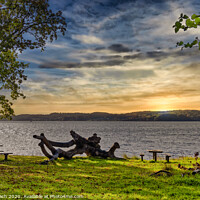 Buy canvas prints of Vejle Fjord resting areas in autumn at Ulbaekhus, Denmark by Frank Bach