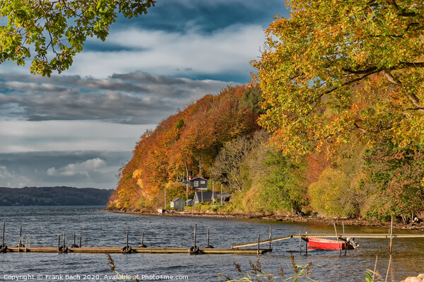 Vejle Fjord resting areas in autumn at Ulbaekhus, Denmark Picture Board by Frank Bach
