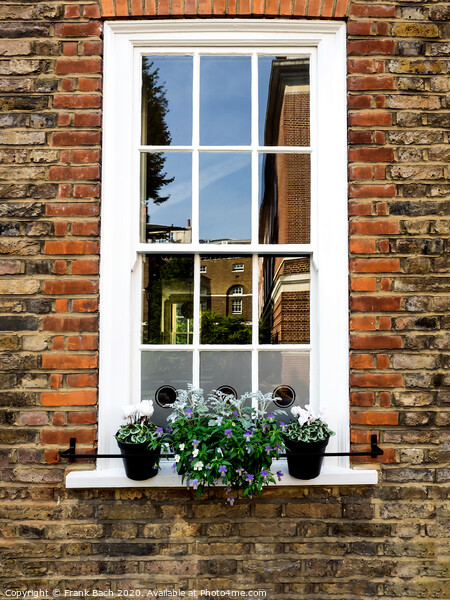 English home with flowers in Greenwich Village, London Picture Board by Frank Bach